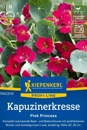 Voordelig | Kiepenkerl Oost-Indische Kers “Pink Princess”