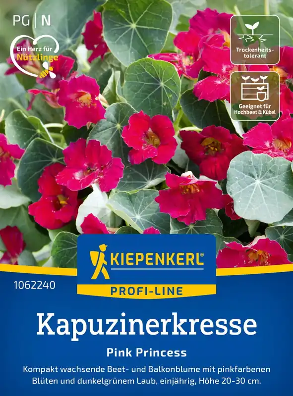 Voordelig | Kiepenkerl Oost-Indische Kers “Pink Princess”