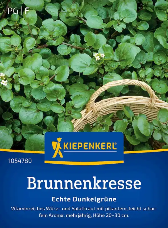 Kiepenkerl Witte Waterkers "Echte Dunkelgrüne" | Outlet
