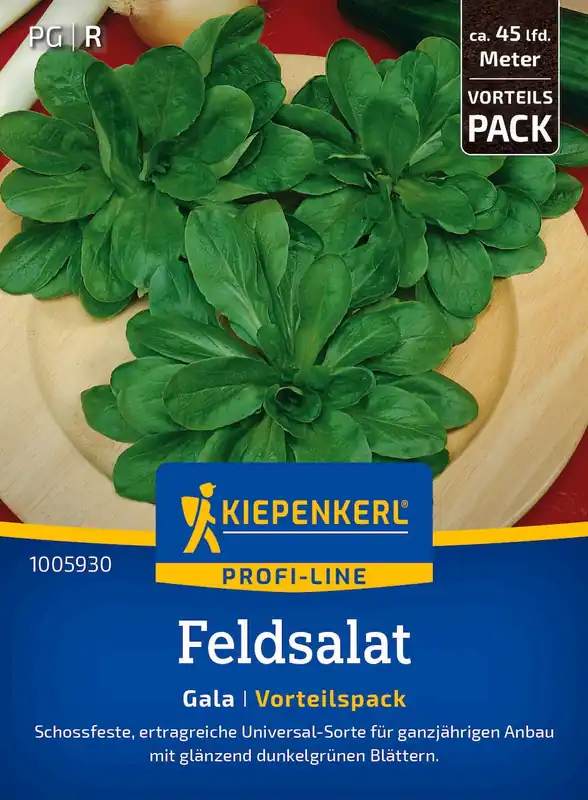 Kiepenkerl Veldsla "Gala", Voordeelverpakking | Eenvoudig retourneren