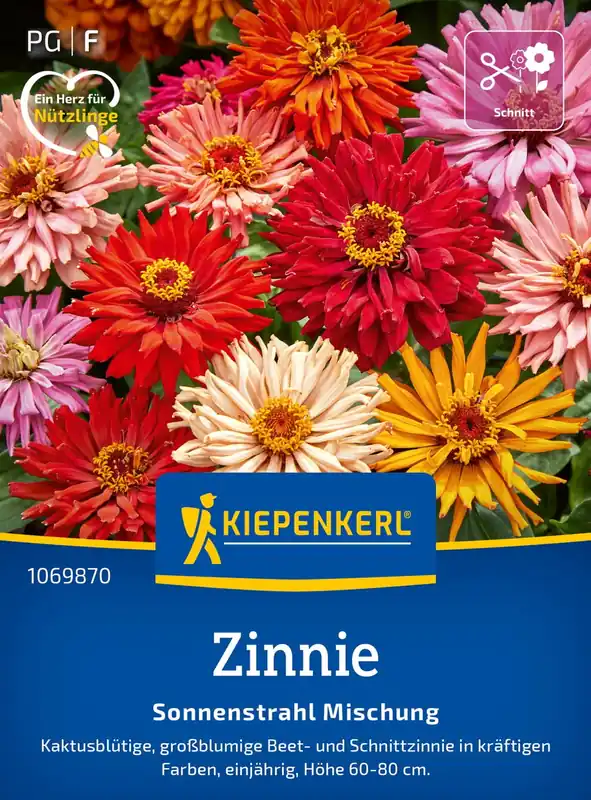 Kiepenkerl Zinnia "Sonnenstrahl Mischung" | Voordelig