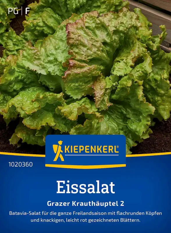 Meest verkocht - Kiepenkerl IJsbergsla "Grazer Krauthäuptel 2"