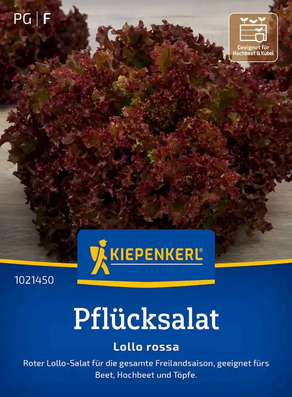 Kiepenkerl Pluksla “Lollo Rossa” - Bestel nu