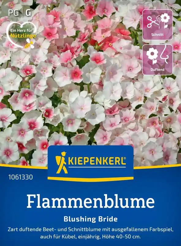 Kiepenkerl Vlambloem "Blushing Bride" - Erg populair
