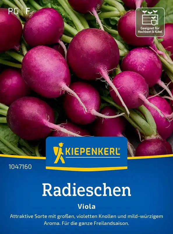Kiepenkerl Radijs - Viola - Veilig betalen