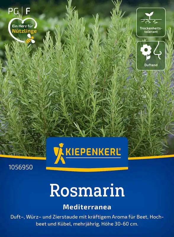 Kiepenkerl Meerjarig Mediterranea - Prijs verlaagd