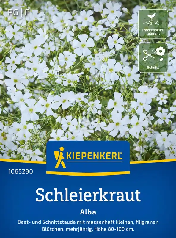 Kiepenkerl Sluierkruid - Alba | Voordeelprijs