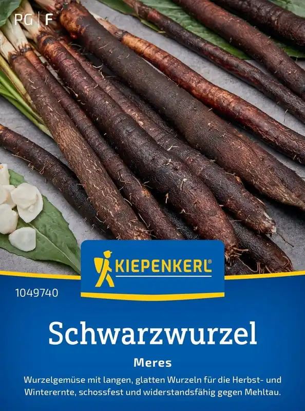 Kiepenkerl Schorseneren "Meres - Aanbieding