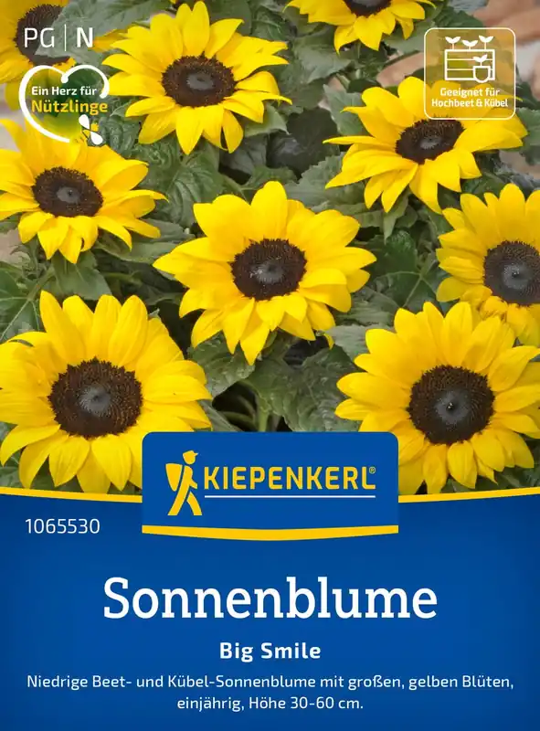 Kiepenkerl Zonnebloem "Big Smile" | Veel gevraagd