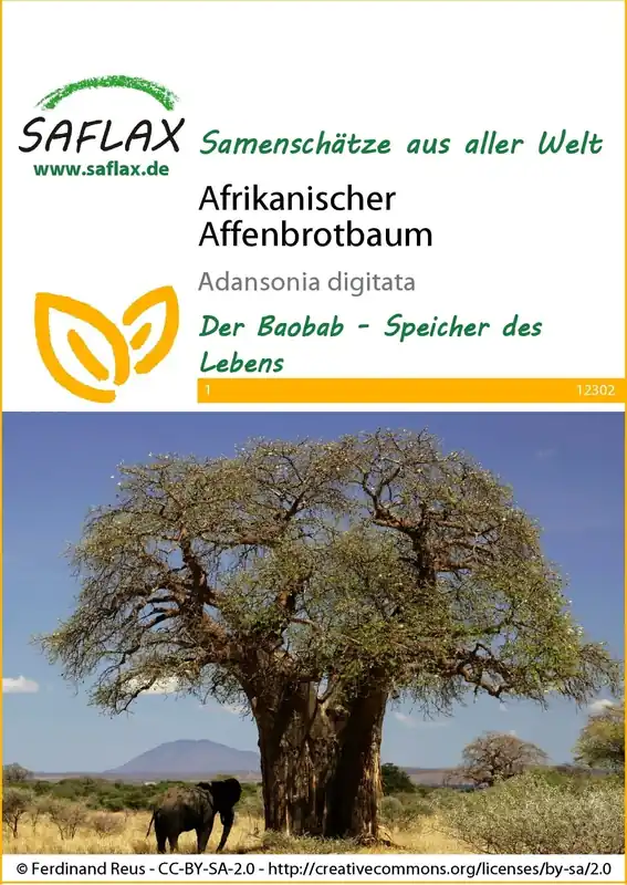 Speciale deal - Saflax Afrikaanse Aapbroodboom