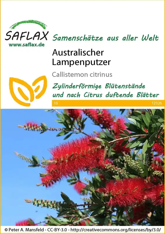 Saflax Lampenpoetser - Veilige betaling