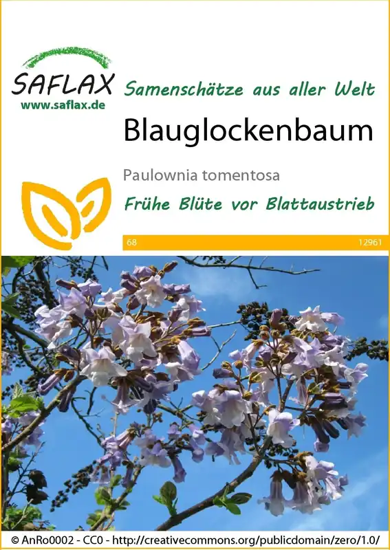 Saflax Anna Paulownaboom | Veilig betalen