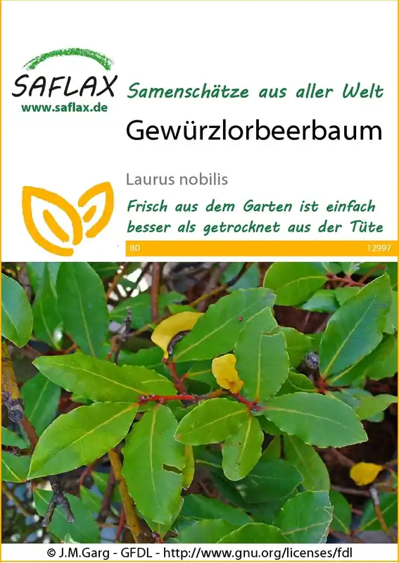 Saflax Laurierboom | Topkwaliteit
