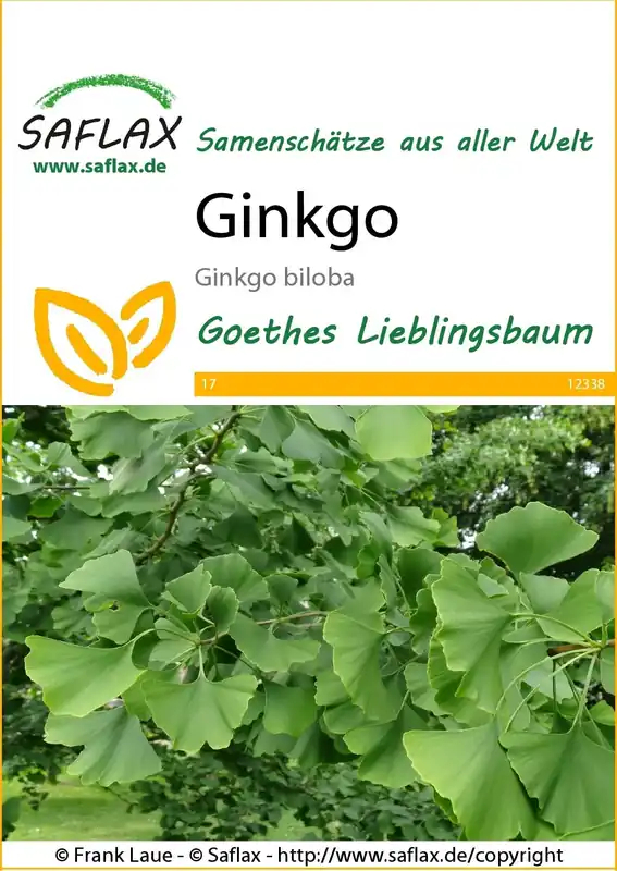 Saflax Ginkgo | Topdeal