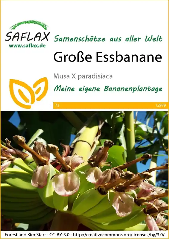 Saflax Plantagebanaan | Bespaar nu