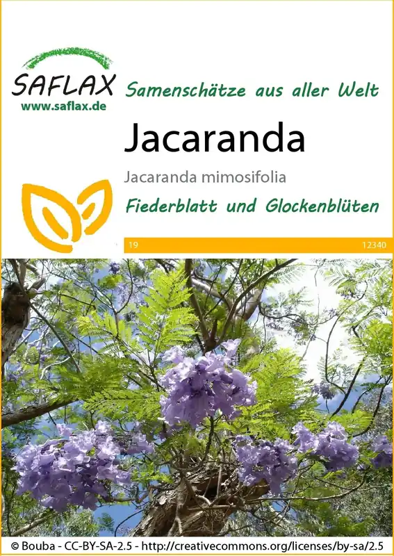 Veel gevraagd | Saflax Jacaranda