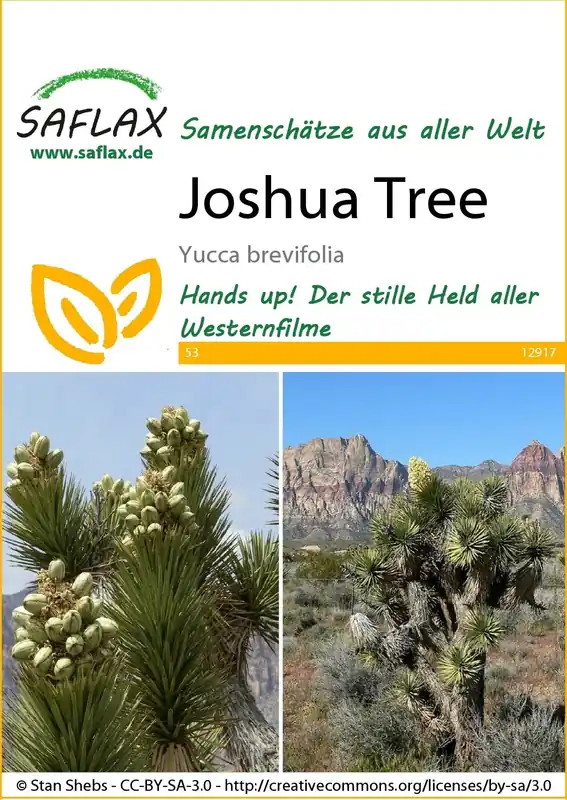 Saflax Joshua Tree - Alleen deze week