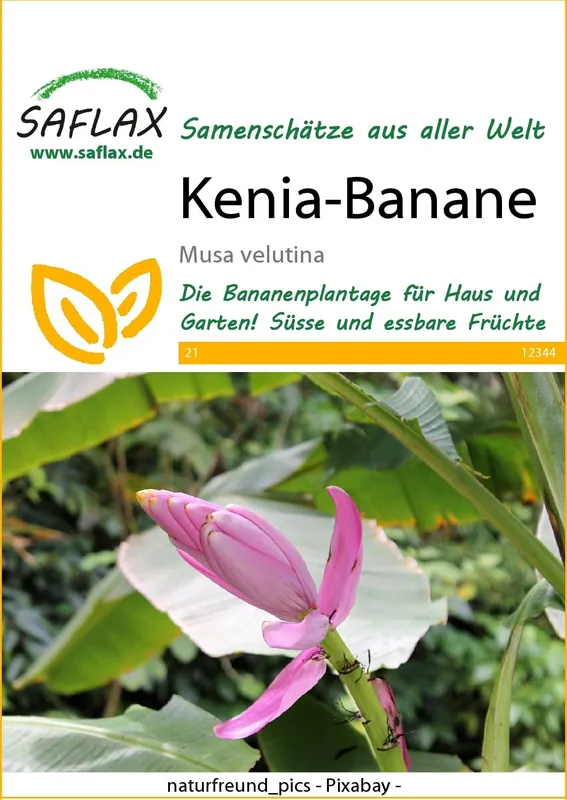 Saflax Roze Banaan | Klantfavoriet