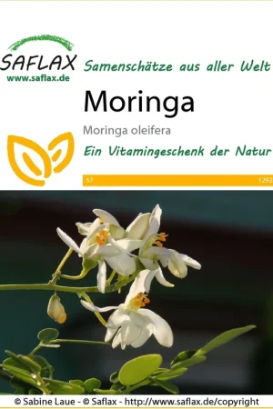 Expreslevering | Saflax Moringa