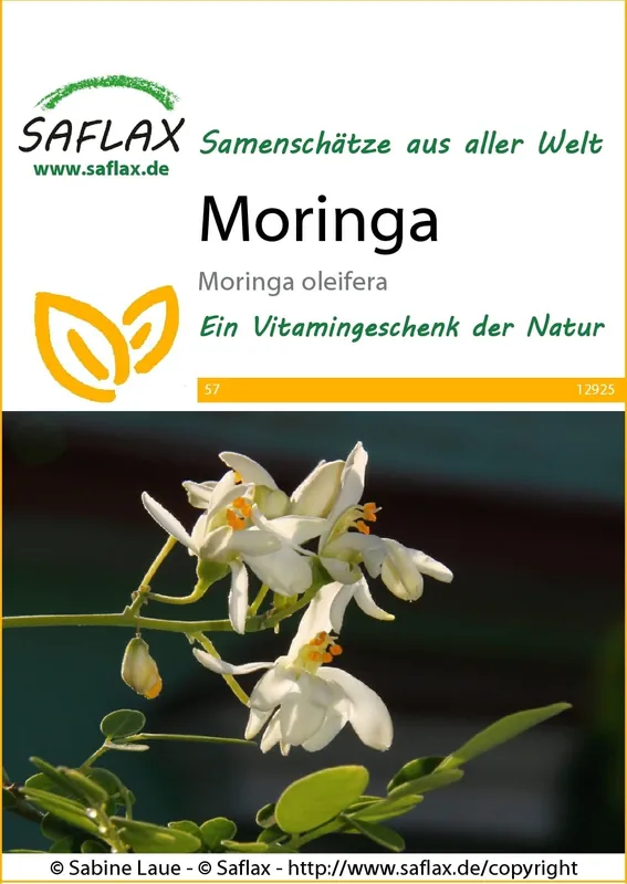 Expreslevering | Saflax Moringa