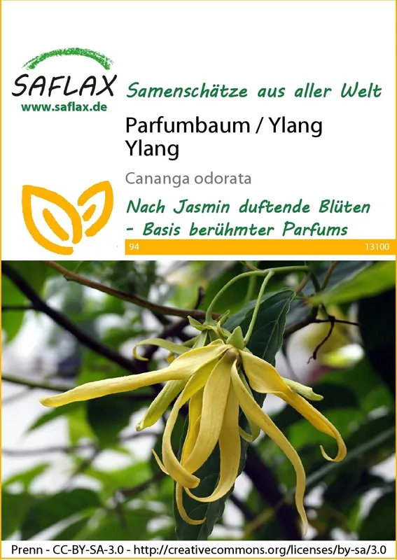 Saflax Ylang-Ylangboom | Extra voordeel