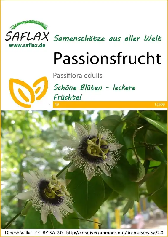 Saflax Passievrucht - Snelle levering