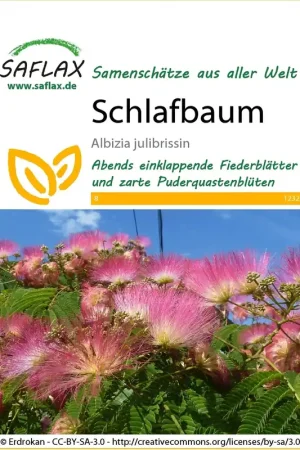 Nieuw binnengekomen - Saflax Perzische Slaapboom