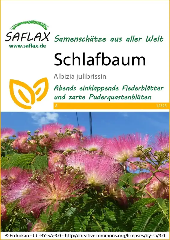 Nieuw binnengekomen - Saflax Perzische Slaapboom