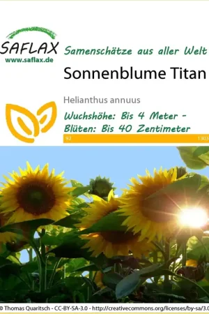 Net gelanceerd | Saflax Zonnebloem Titanium
