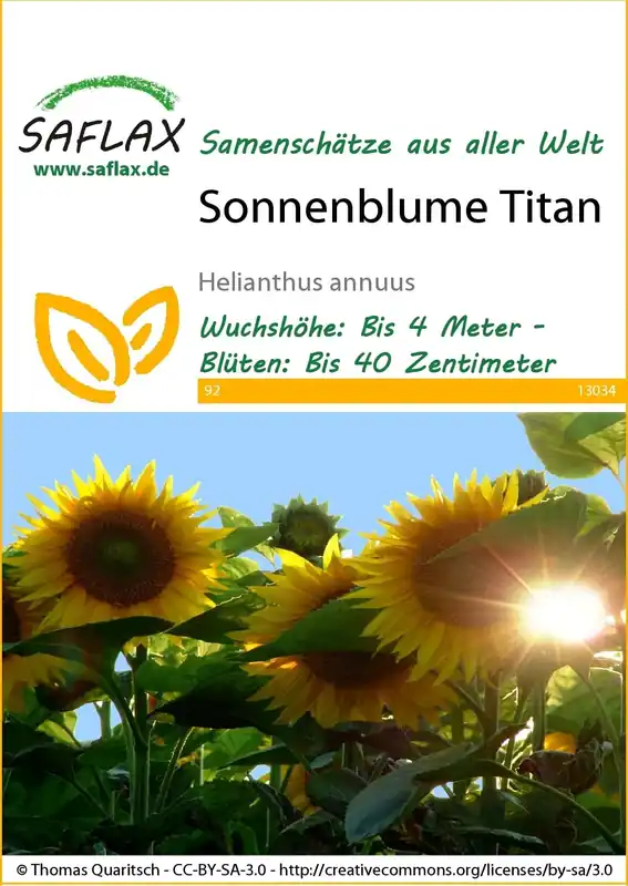 Net gelanceerd | Saflax Zonnebloem Titanium