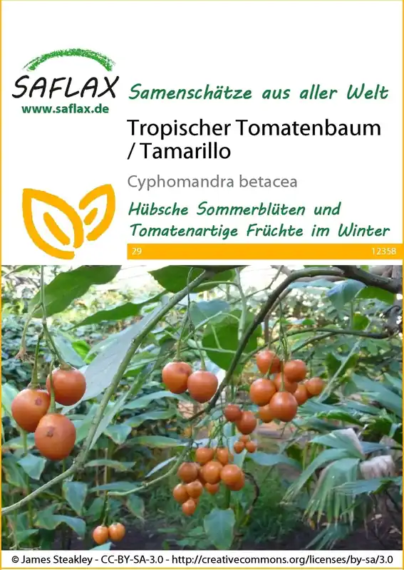 Saflax Tropische Tomatenboom / Tamarillo - Wees er snel bij