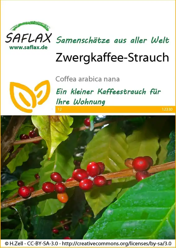 Saflax Dwergkoffie | Pak je kans