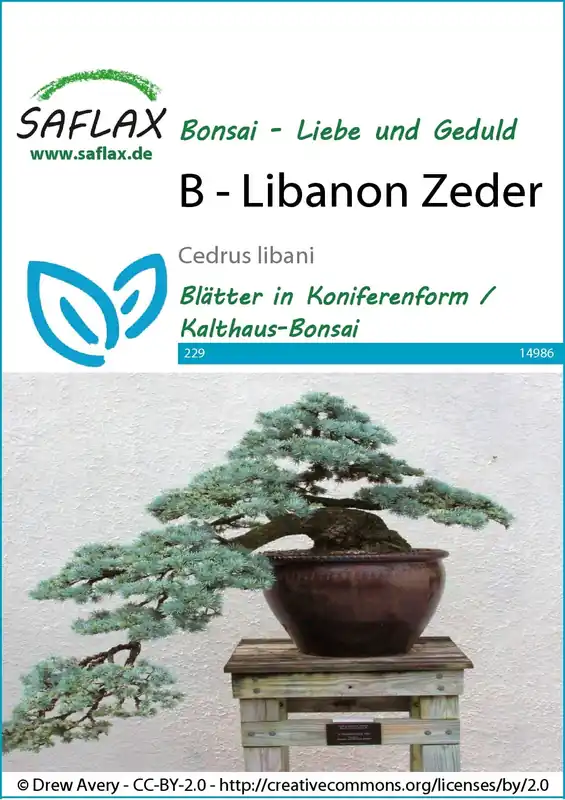 Veilig winkelen | Saflax Bonsai - Libanonceder