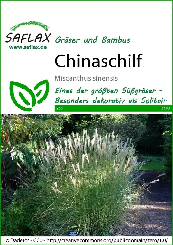 Saflax Chinees Riet - Direct bestellen