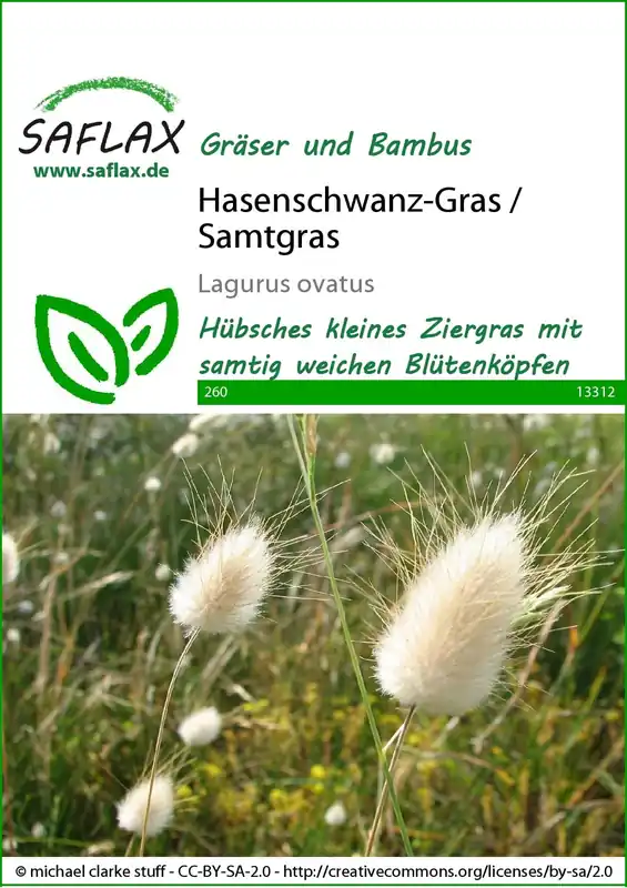 Saflax Hazenstaartgras / Fluweelgras - Deal