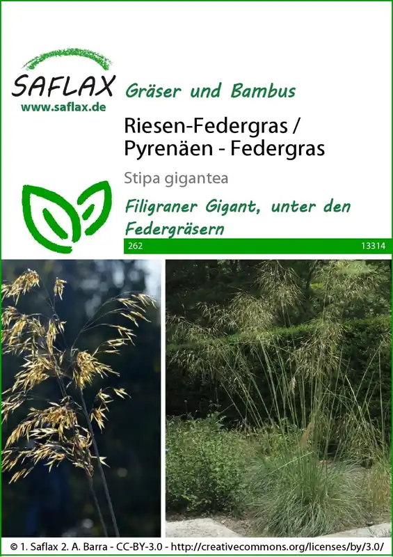 Veilige betaling | Saflax Reuzenvedergras