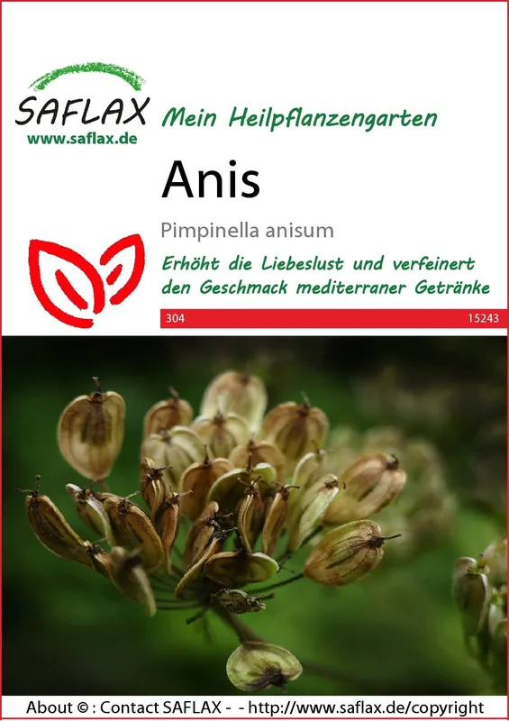 Saflax Anijs | Prijsverlaging