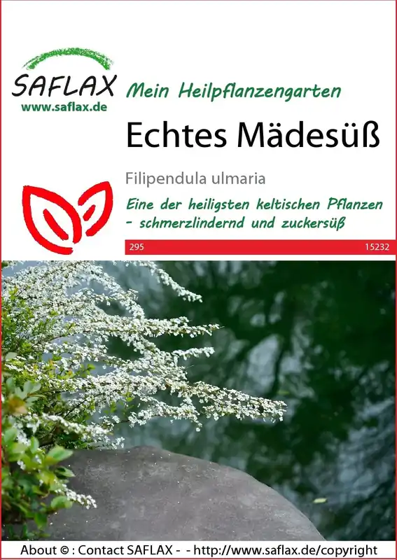 Voordelig | Saflax Moerasspirea
