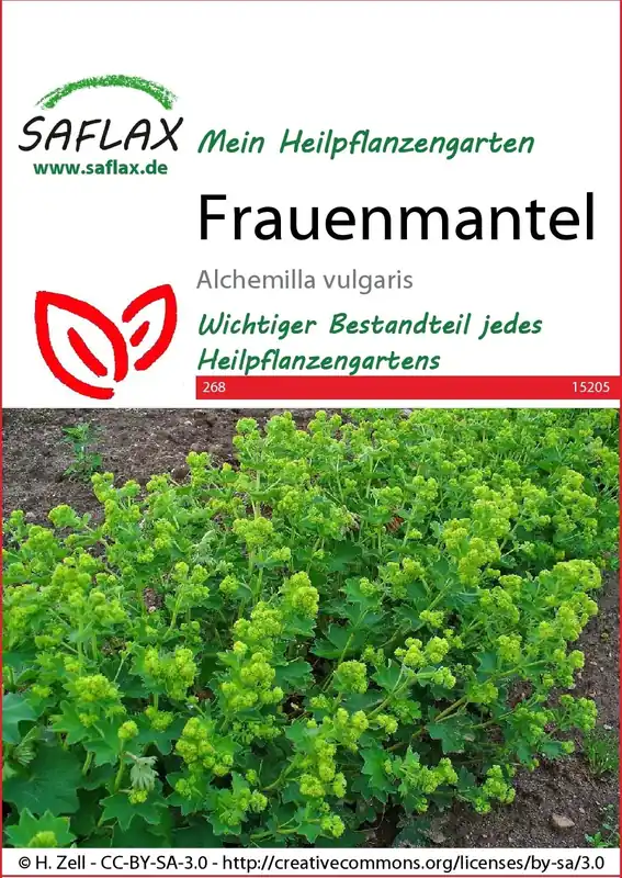 Saflax Vrouwenmantel - Speciale aanbieding