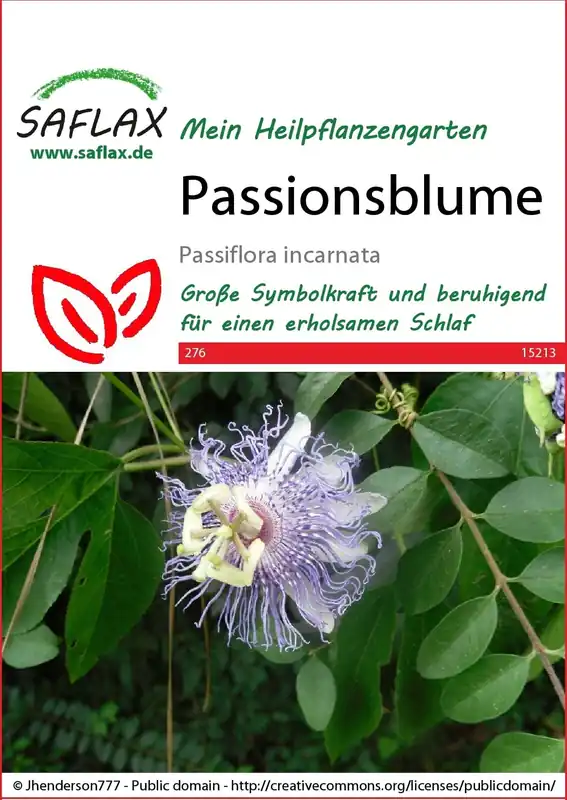 Saflax Passiebloem | Verlaagde prijs