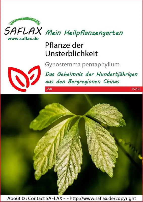 Veilig winkelen | Saflax Jiaogulan