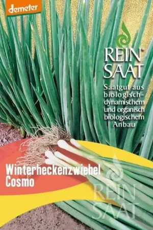 Populair bij klanten - ReinSaat Grove Bieslook "Cosmo"