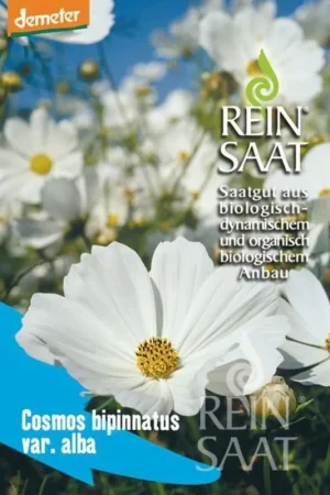 Outlet | ReinSaat Witte Cosmea
