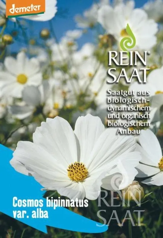 Outlet | ReinSaat Witte Cosmea