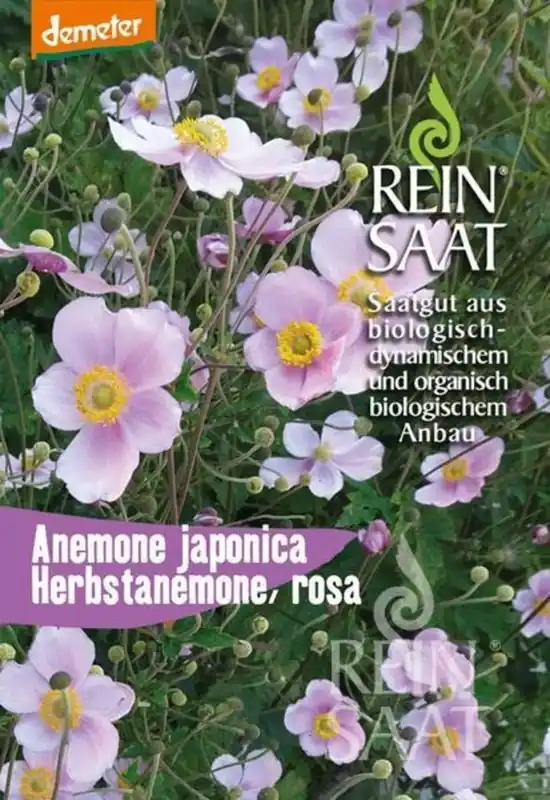 Snelle verzending | ReinSaat Chinese Anemoon