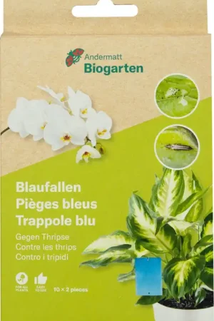 Andermatt Biogarten Blauwe Vallen | Nu beschikbaar