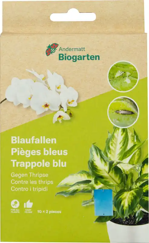 Andermatt Biogarten Blauwe Vallen | Nu beschikbaar
