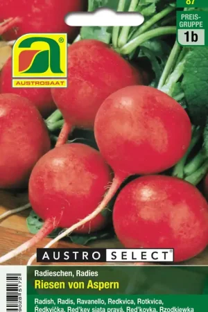 Topdeal | AUSTROSAAT Radijs Riesen v. Aspern