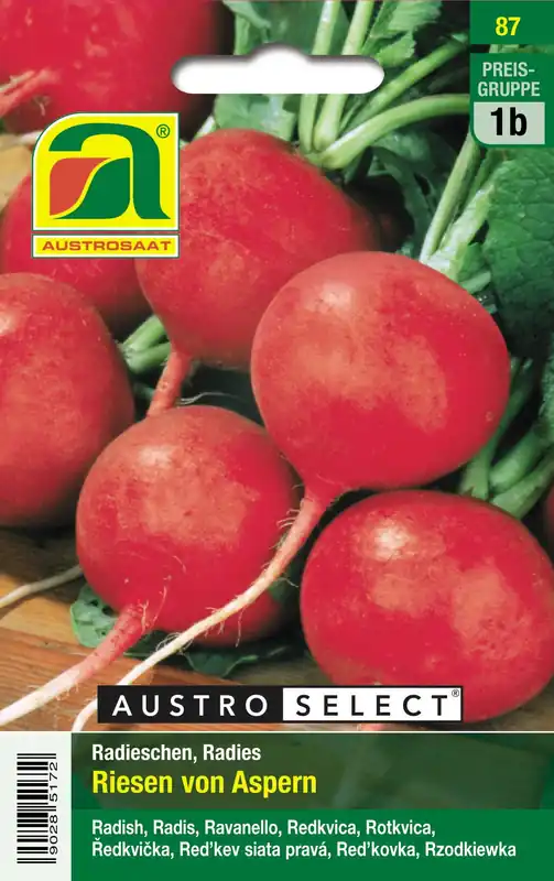 Topdeal | AUSTROSAAT Radijs Riesen v. Aspern