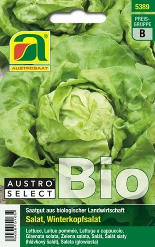 Zeer goed beoordeeld - AUSTROSAAT Biologische sla Neusiedler Gelber Winter